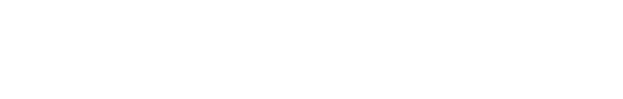 The Pokémon Company International